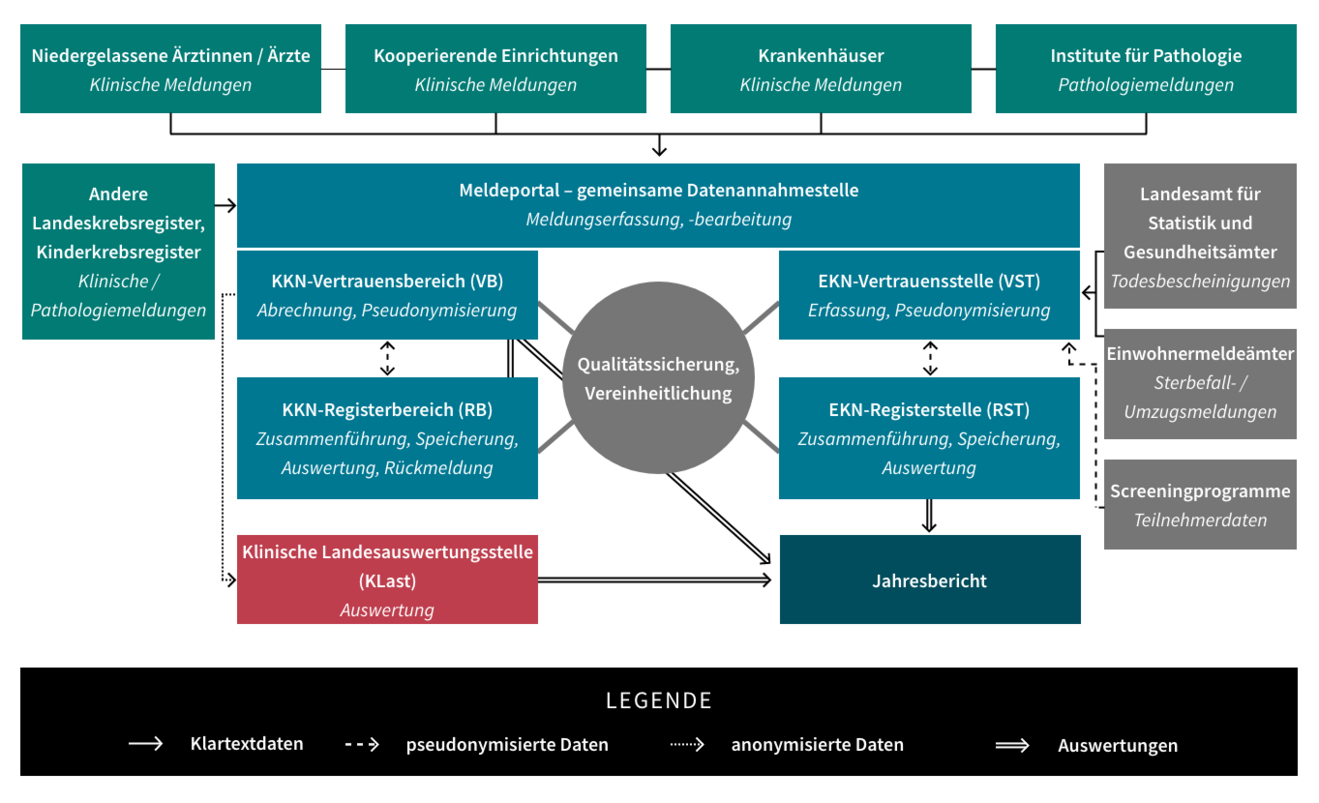 Meldeverfahren der Landeskrebsregister in Niedersachsen - Vergrößerung öffnen
